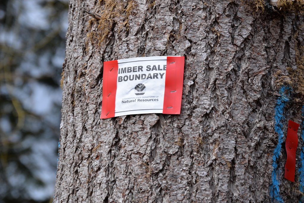 Timber sale sign on tree