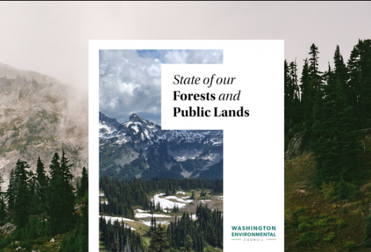 2020 State of our Forests and Public Lands Report - Washington ...